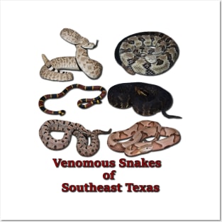 Venomous Snakes of Southeast Texas Posters and Art